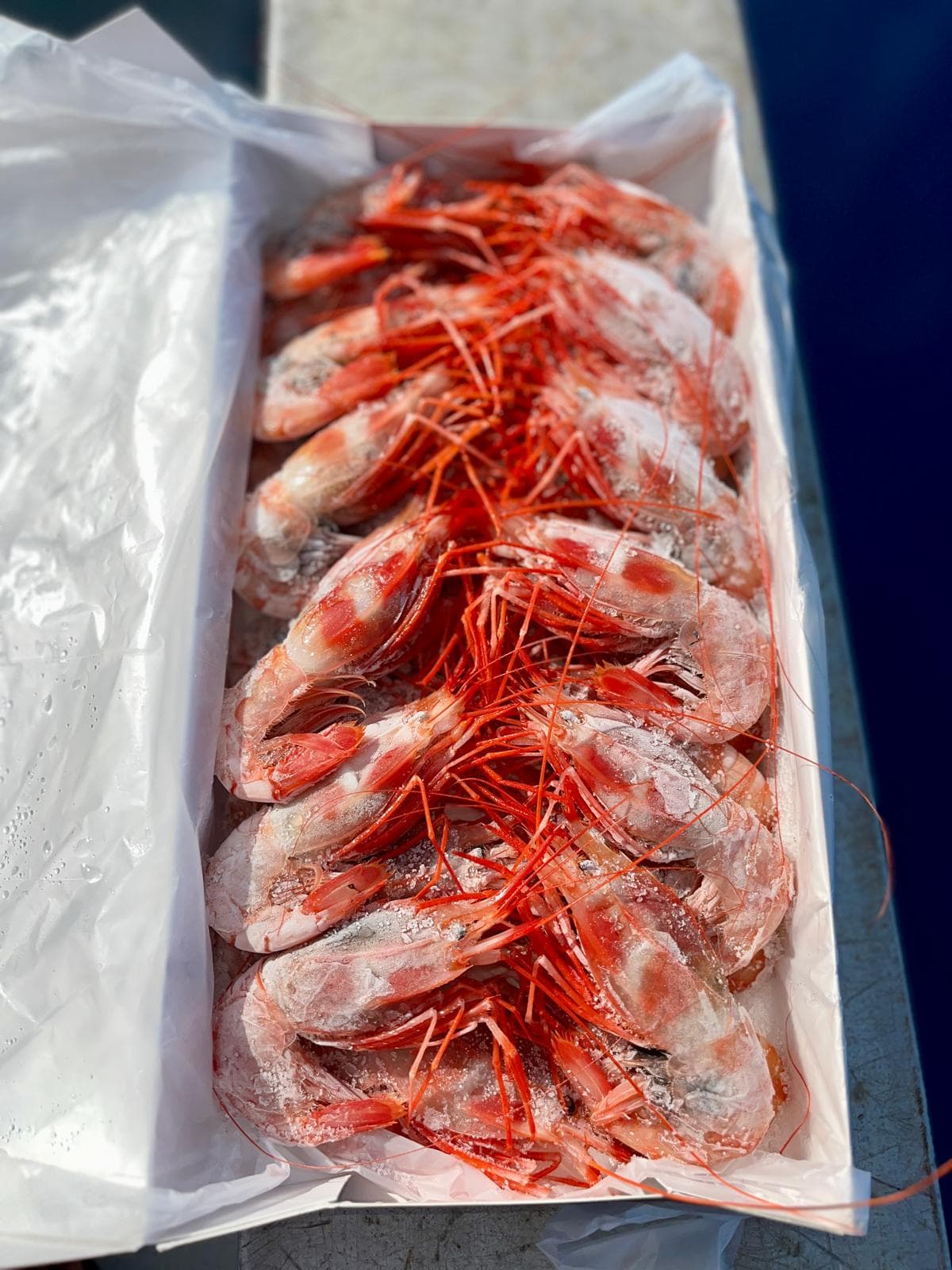 Prawn box